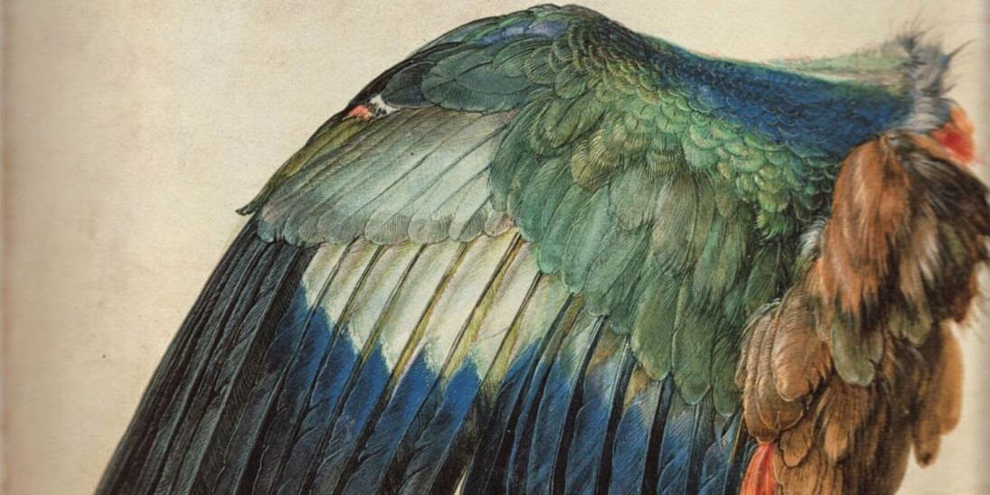 Albrecht Dürer. Courtesy of Albertina