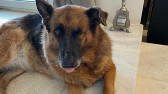 Moly in the comfort of a loving home