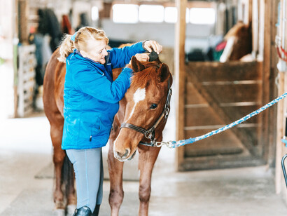The woman adjusts the bridle of the horse
