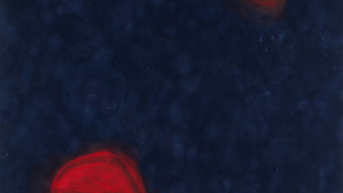 Sarah Tritz, Sans titre (detail), 2015, gouache sur papier velours, 72 x 52 cm, courtesy of galerie anne barrault