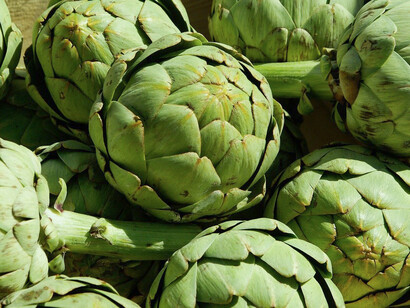 Comenzó a sembrar alcachofas y le fue muy bien. En la segunda temporada duplica la inversión y el negocio prospera