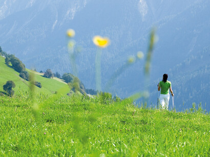 Passeggiata in montagna