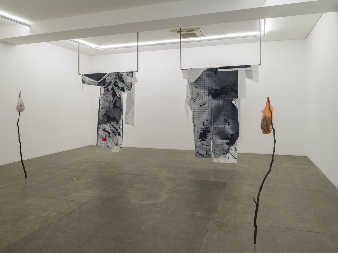Armando Andrade Tudela, Vista da exposição
