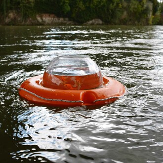 Disturbe. Courtesy of Wunderkammern Milan 