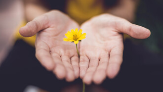 Delicatezza e sensibilità. Sebbene essere persone ipersensibili sia a tutti gli effetti un dono, non tutte le persone riescono a vivere una vita pienamente soddisfacente a causa di questa emotività alle volte difficile da gestire. Ecco di seguito alcuni consigli per gestire al meglio la propria emotività e quella di chi ci sta intorno