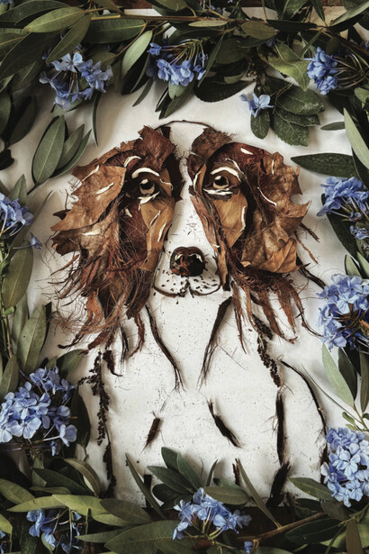 Miquela Raiche, Harry (Commissioned piece), 2024. Courtesy of 1202 Contemporary