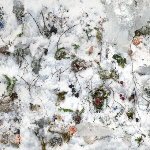 Tanya Marcuse. Courtesy of George Eastman Museum