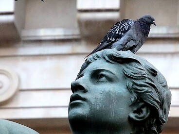 Gli escrementi non solo deturpano l'estetica delle opere d'arte pubbliche, ma compromettono anche l'esperienza dei visitatori e il valore turistico delle città, richiedendo soluzioni innovative per la protezione dei monumenti storici