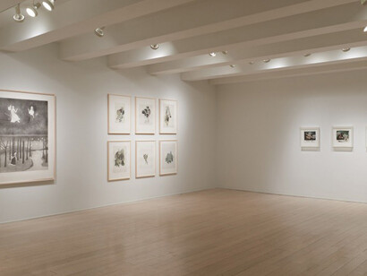 Kiki Smith. Courtesy of Pace Prints Gallery