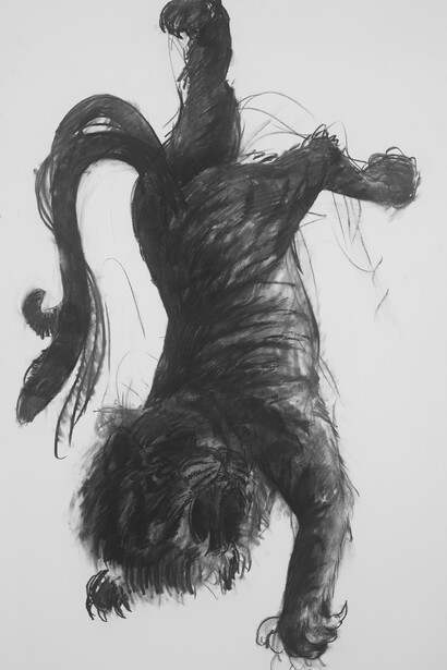 Ye Linghan (b. 1985), Gold.Circle.Tiger 15, 2014, Charcoal on paper, 193 x 110 cm; (76 x 43 1/4 in.)