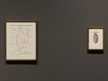 Ana Mendieta. Courtesy of Nogueras Blanchard