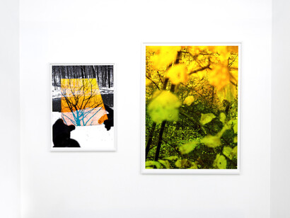 Various artists, Nature represented and reproduced, exhibition view. Courtesy of CLAMP