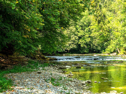 Detrás de todo el accionar de vivir, está un bagaje de instintos e impulsos, que parece que son parte integral e inevitable de las energías que constituyen lo que llamamos vida