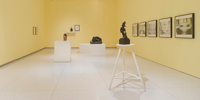 The Hysterical Material. Courtesy of Smart Museum of Art