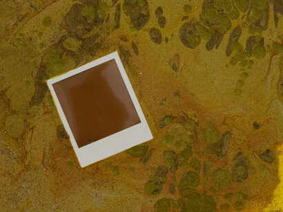 Maggie Lee, Norwegian wood, 2025. Courtesy of House of Gaga