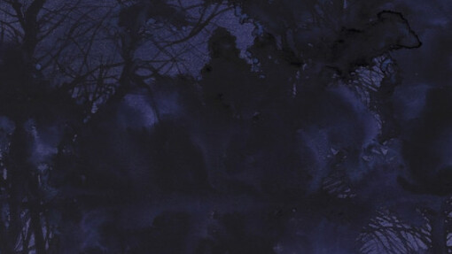Light of the Troposphere. Courtesy of 10 Chancery Lane Gallery