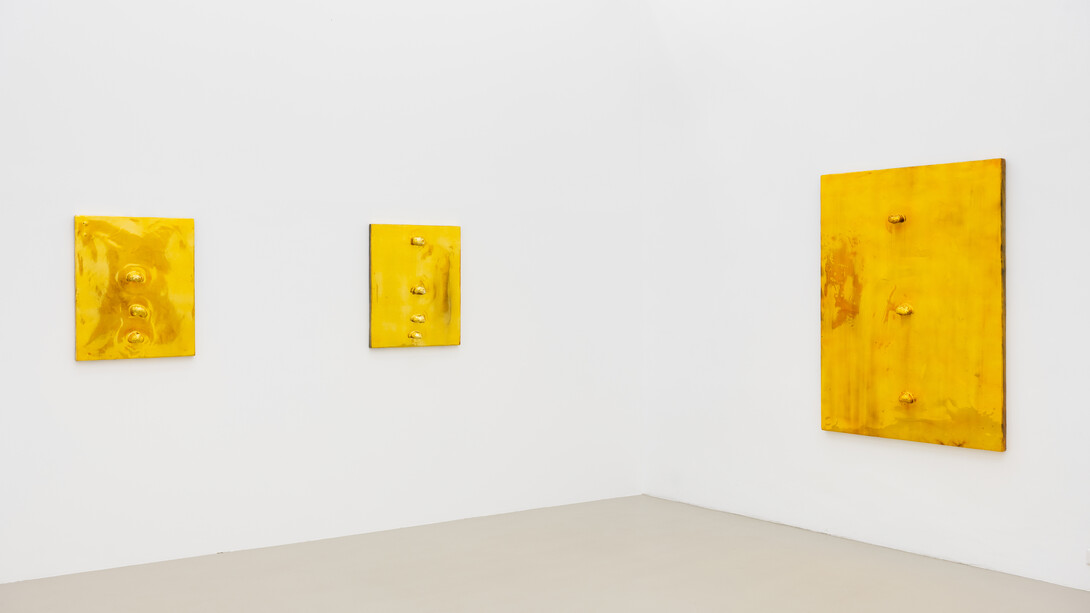 Verschiedene künstler, El dorado, ausstellungsansicht. Mit freundlicher genehmigung der Meyer Kainer Gallery © Simon Veres