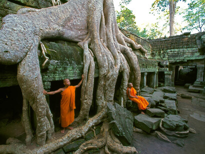 I ficus strangolatori stanno distruggendo lentamente i templi di Angkor Wat