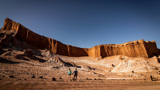 A vicuña grazing on the brown grasses of the Atacama Desert, Antofagasta, Chile, during the daytime
