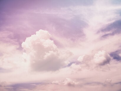 The cell contains many hierarchical organizational levels