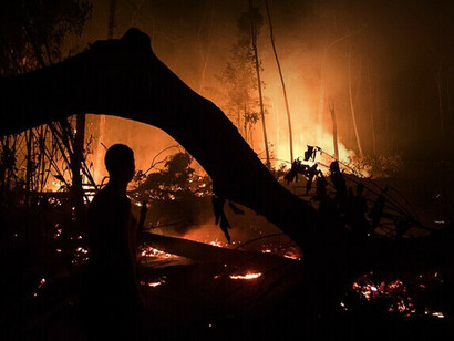 Destruction of the Amazon: a total of 3,360 square kilometers of native forest has been destroyed to date
