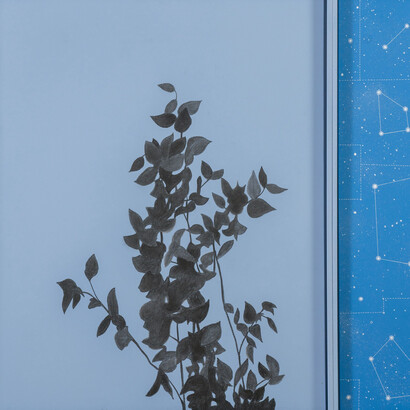 Marco Pellizzola, Dalla finestra 1. Courtesy of Pallavicini 22