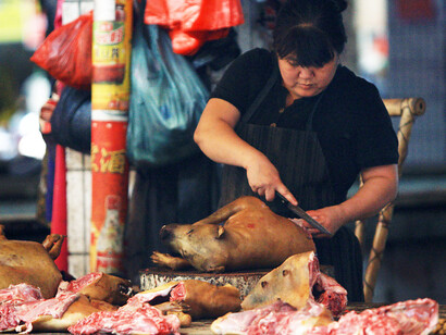 Yulin dog meat festival. Despiezando a un perro