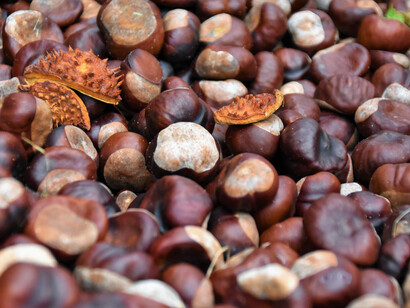Castagne