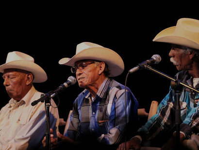 Los Cardencheros de Sapioriz originalmente estaba conformado por Guadalupe Salazar Vázquez en la voz fundamental, Fidel Elizalde en la voz contralta, Antonio Valles Luna en la voz de arrastre y Genaro Chavarría Ponce en la voz requinta