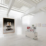 Andréhn-Schiptjenko