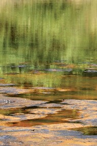 Le Stanze in Fiore, foto Rossella Pezzino De Geronimo