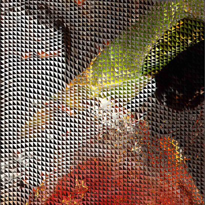 Christoffer Joergensen, Camouflage Collage 1, 2015