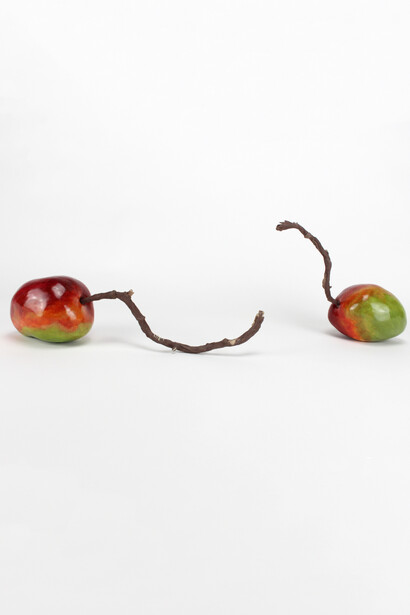 Daniela Maria Ferreira Cabeza-Vanegas, Tommy Mangos. Courtesy of Erin Cluley Gallery