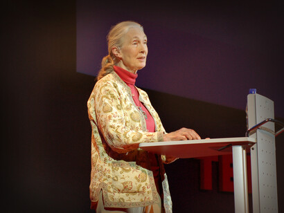  Jane Goodall alla conferenza TEDGlobal 2007 in Arusha, Tanzania