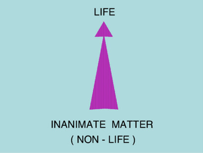 According to the large majority of modern science, life on Earth arose from inanimate matter. This was the original idea of Oparin and Haldane, rich of philosophical and social implications.