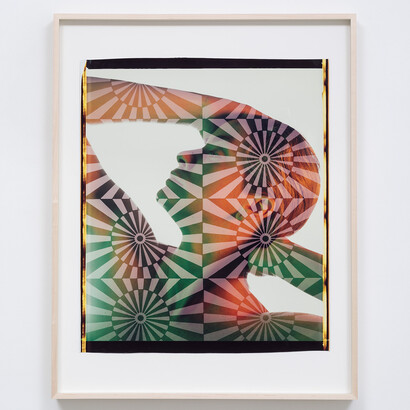 Ellen Carey
Self-Portrait, 1984
unique Polaroid 20 x 24
© Ellen Carey, Courtesy M+B Gallery, Los Angeles