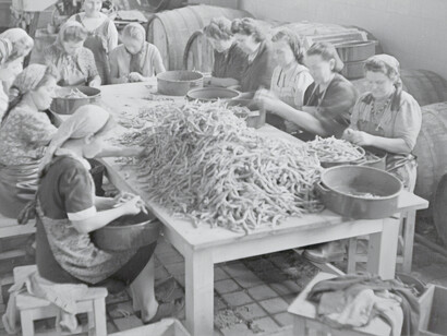Mujeres trabajando en una fábrica en pleno auge de la Revolución Industrial a principios del siglo XX