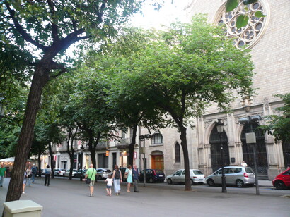 El paseo central está arbolado por una doble línea de tilos. Hay ejemplares de tilos de varias decenas de años, de casi veinte metros de altura y de gran copa, junto con otros jóvenes tilos plantados por los jardineros municipales que sustituyen a los árboles que mueren de viejos