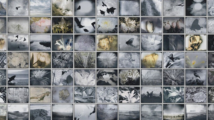 Michelle Stuart. Courtesy of Galerie Lelong