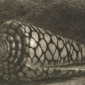 Rembrandt Harmensz van Rijn (Dutch, 1606–1669), “The Shell (Conus Marmoreus)”, 1650. Etching, drypoint and engraving. Museum purchase, gift of Dr. T. Edward and Tullah Hanley by exchange, Achenbach Foundation for Graphic Arts Endowment Fund and Anonymous Bequest. 1997.42