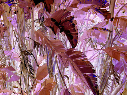 Chandra+Stewart, untitled, 2014, C-type print, edition of 5 + 2 A/Ps, 22 1/2 x 32 1/4 in / 57 x 82 cm