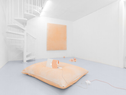 Gioia Di Girolamo - Assisted Service for Miracle Reactions. Exhibition view, Dimora Artica (ph Massimiliano Costantini)