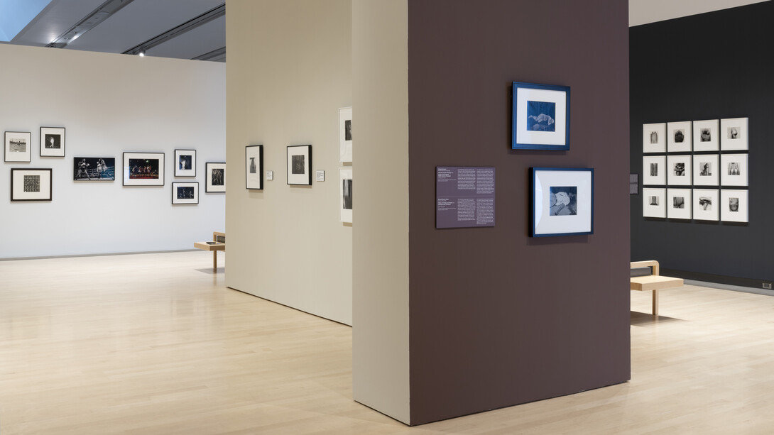 Various artists, Muscle memory: lens on the body, exhibition view. Courtesy of Phoenix Art Museum