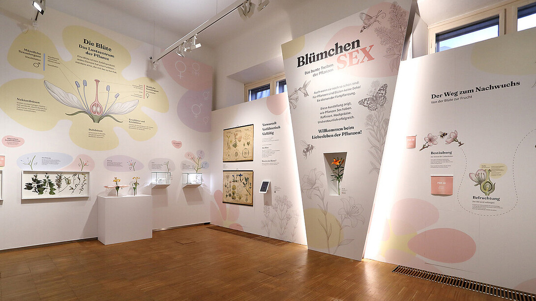 Flower sex. The colourful love life of plants, exhibition view. Courtesy of Natural History Museum