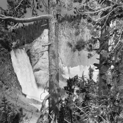 LEE FRIEDLANDER, Yellowstone National Park, Wyoming, 1996. Courtesy of Fraenkel Gallery
