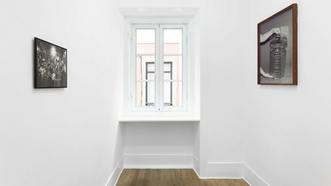 Joanna Piotrowska. Courtesy of Galeria Madragoa