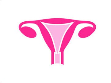 El útero como símbolo de la lucha de las mujeres