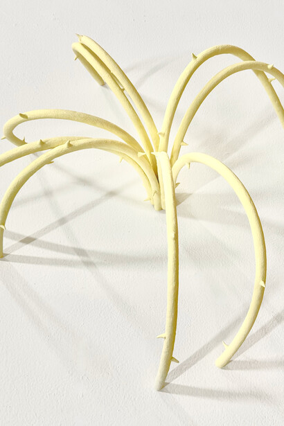 Natalie Kuenzi, Tumbleweed, 2024. Courtesy of Pentimenti 