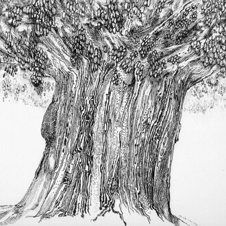 Charles Steckler, Sacagawea, Ink on paper