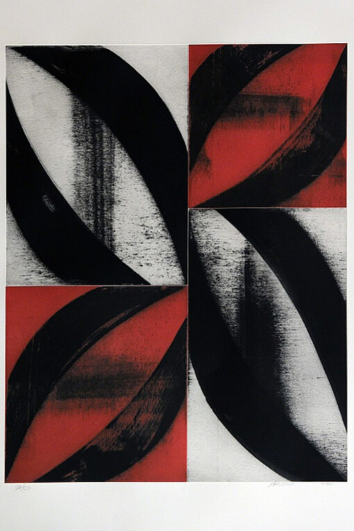 Charles Arnoldi Arcs & Strings. Courtesy of Meyerovich Gallery